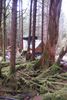 last of winter 2013 012.JPG
