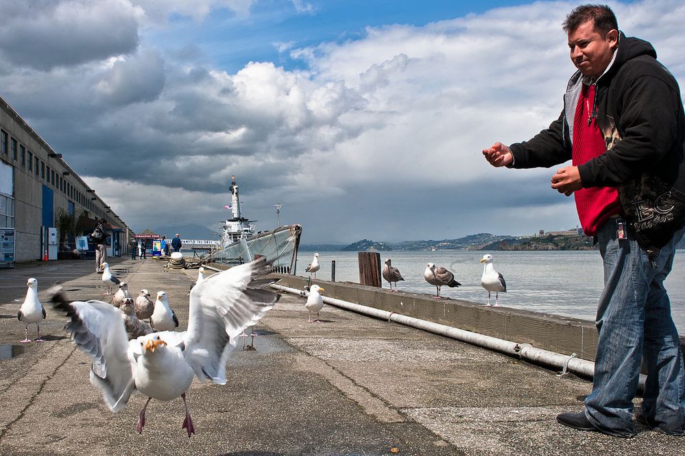 1280px-Catching_a_snack_(5597547033).jpg