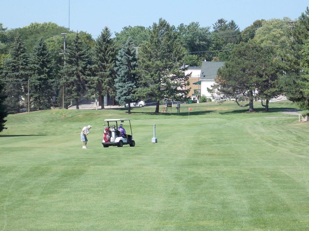 12052444_1654176284858999_8372404251731471038_o (1).jpg