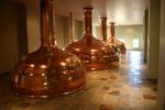 brewhall3.jpg