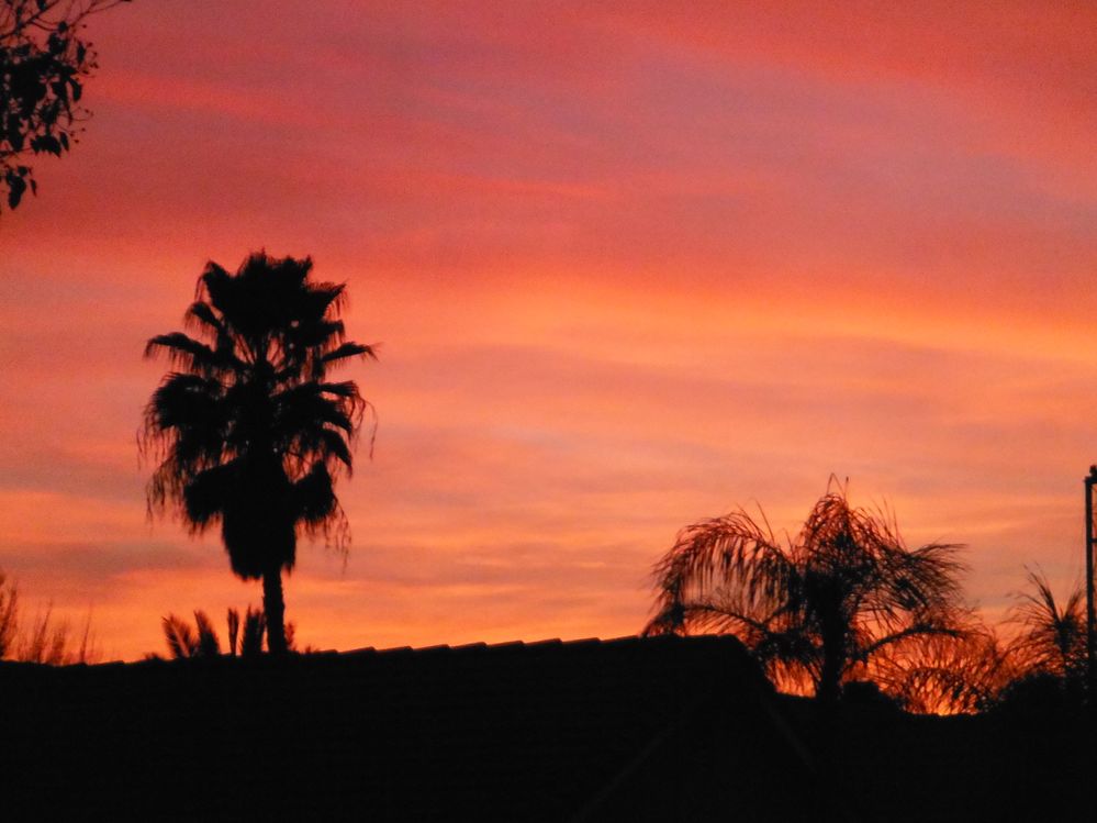 Jan and Feb 2013 sunset and mountain date 001.JPG