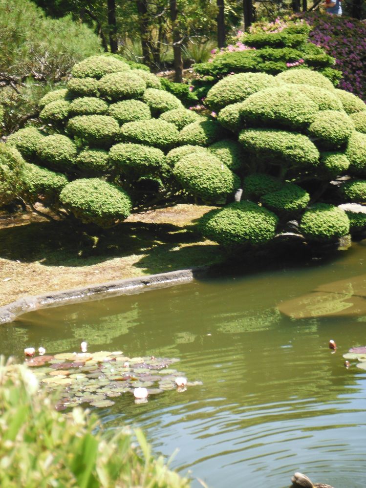 Mom's Day Trip 5-9-13 024.JPG