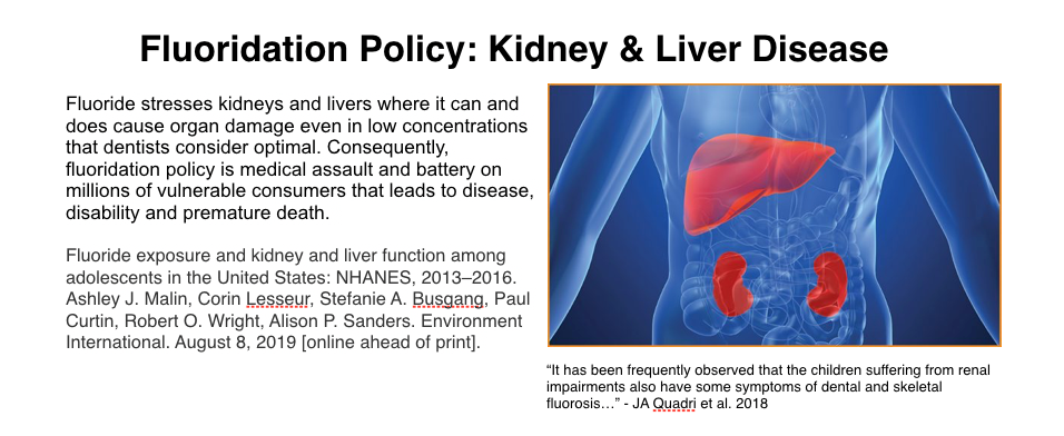 Screen Shot 2019-08-08 at 10.55.24 AM.png