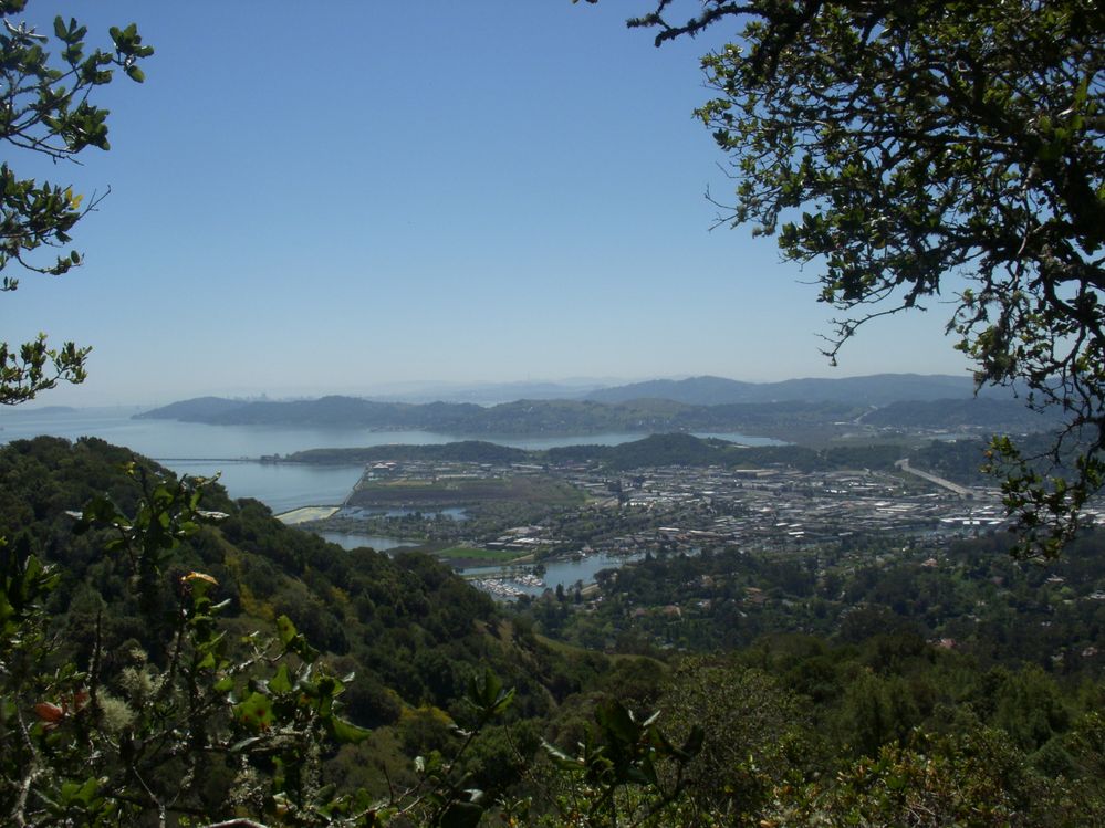 DSCN1530.JPG