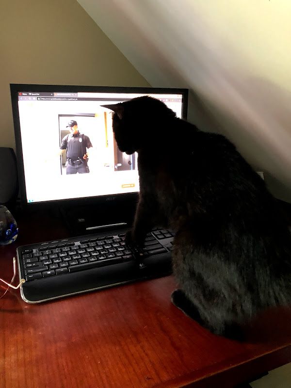 Delilah is fascinated with police lip sync challenge videos.