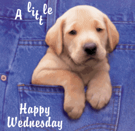 wednesday21.gif