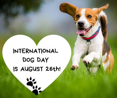 International dog day Aug 26.jpg