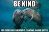 Be Kind.jpg