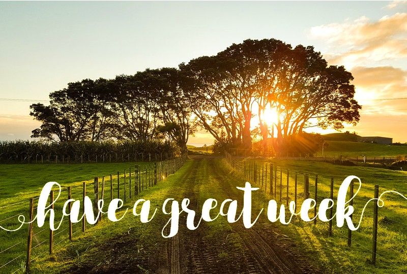 good-week_010.jpg