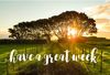 good-week_010.jpg