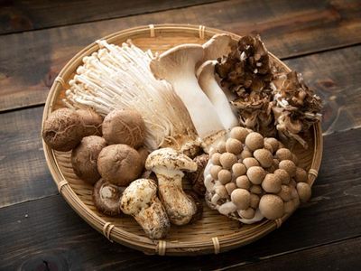 So many kinds of mushrooms!