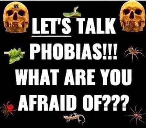 72556363_2628627460492906_5927527078659358720_n (1).jpg