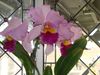 DSC08214.JPG