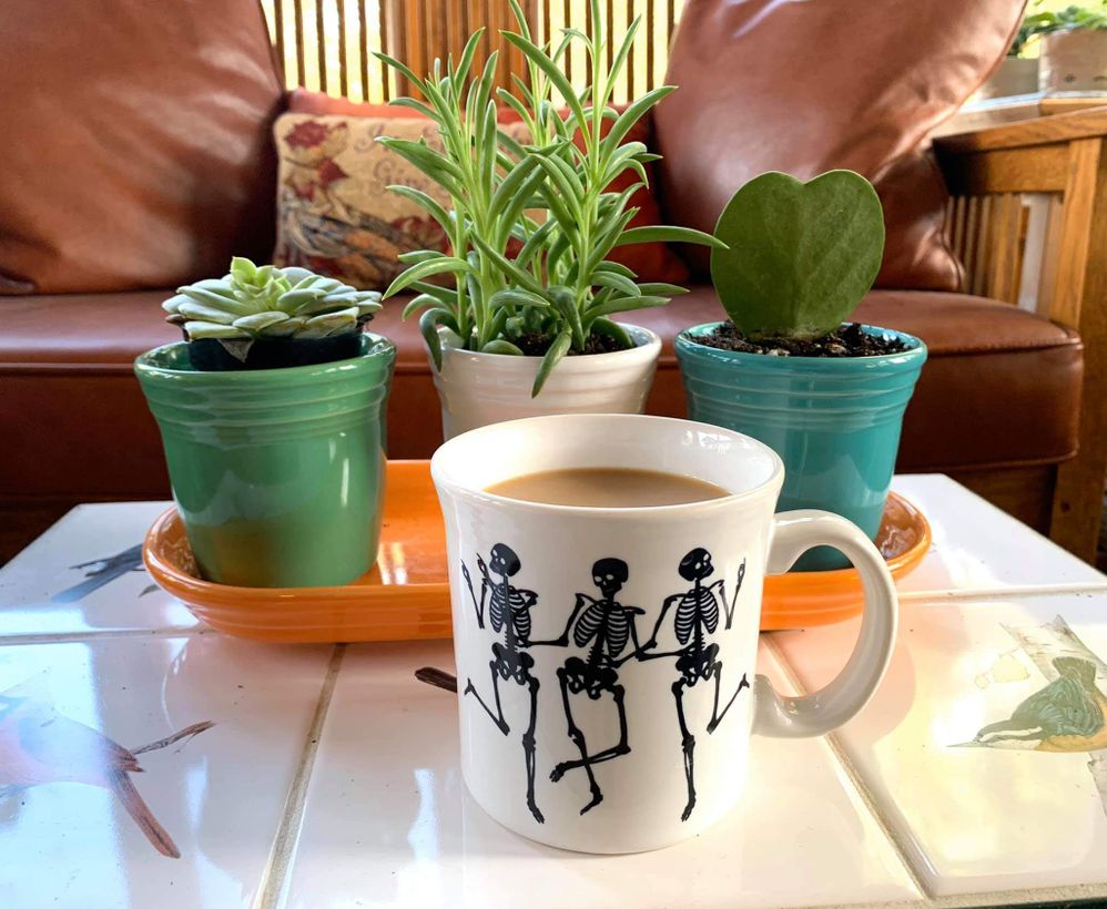 Fiestaware mug and plant pots
