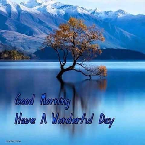 FB_IMG_1539297325807.jpg