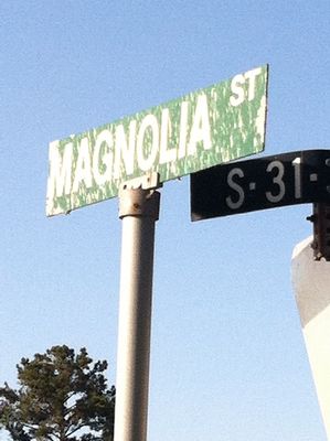 "THIS IS HOW YOU DO IT"