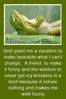 Frog.jpg