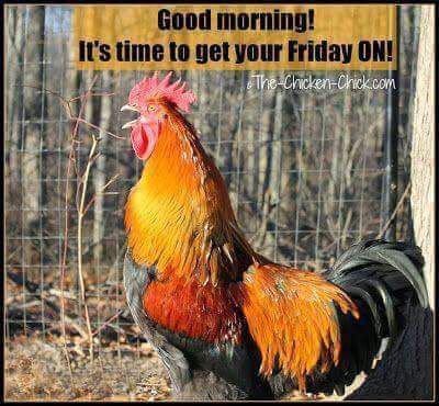 FB_IMG_1530291086061 (1).jpg