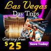 LAS VEGAS.jpg