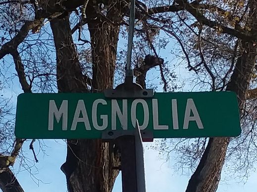 Magnolia Street
