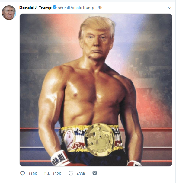 trumptweet-112719.png