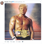 trumptweet-112719.png