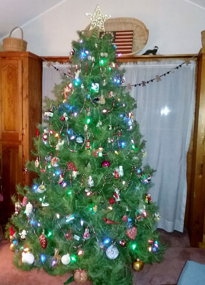 My tree this year