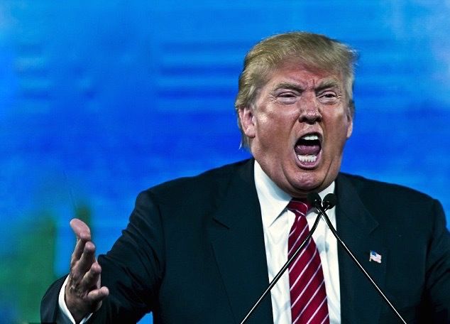 angryDonnie2.jpg