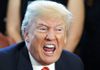 angryDonnie3.jpg