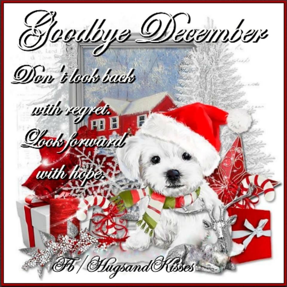 293679-Goodbye-December.jpg