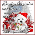293679-Goodbye-December.jpg