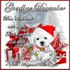 293679-Goodbye-December.jpg