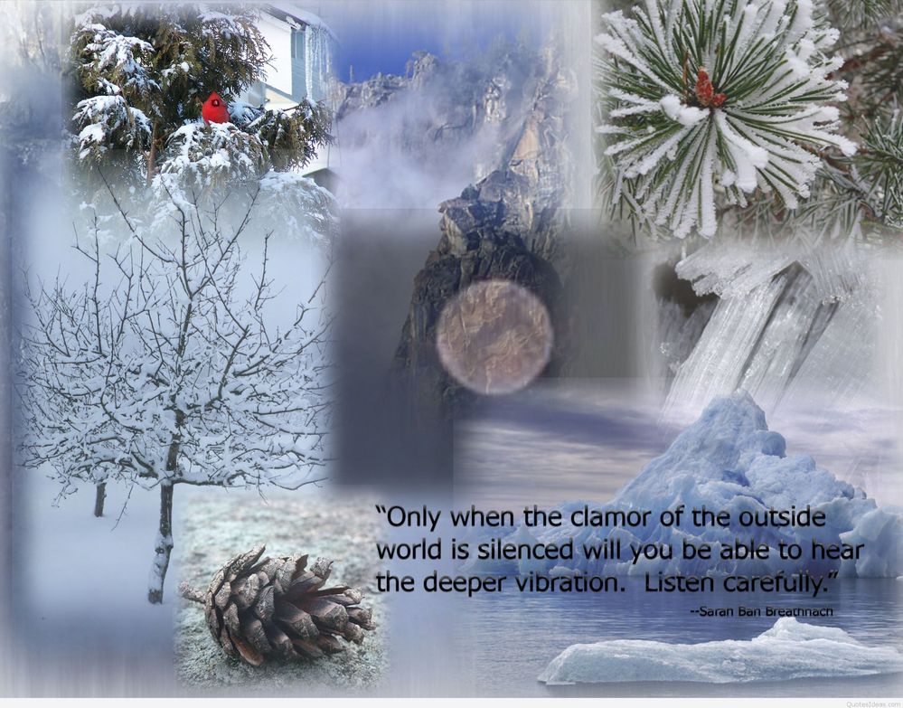 only-when-the-clamor-of-the-outside-world-is-silenced-will-you-be-able-to-hear-the-deeper-vibration.jpg