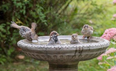 Ahhhh, Saturday's coming!