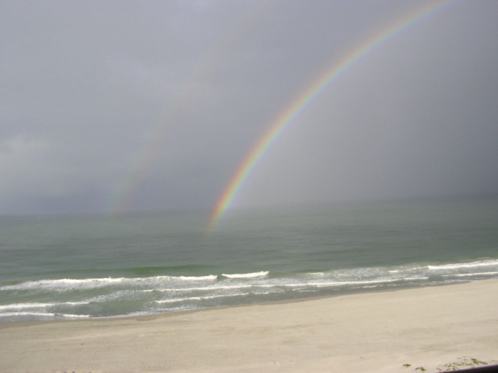 Eleanor's pictures from her camera 014.JPG