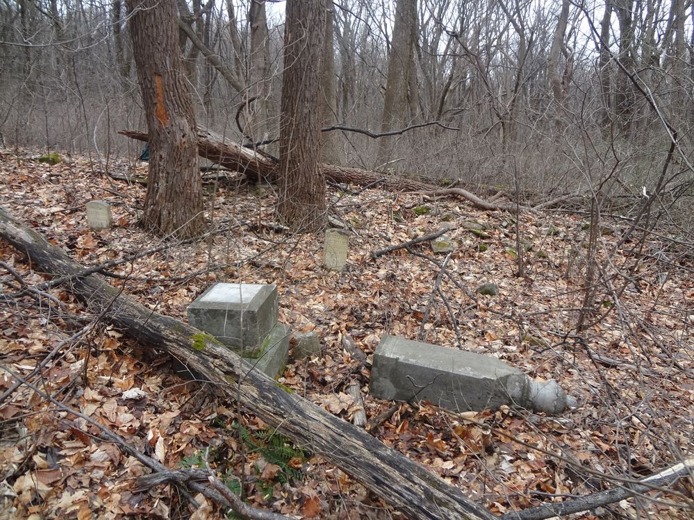 Clatterbuck Cemetery -- mostly fieldstones, but there were three inscribed headstones and footstones.  It took us 2 forays to find this one.