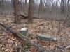 Clatterbuck Cemetery -- mostly fieldstones, but there were three inscribed headstones and footstones.  It took us 2 forays to find this one.