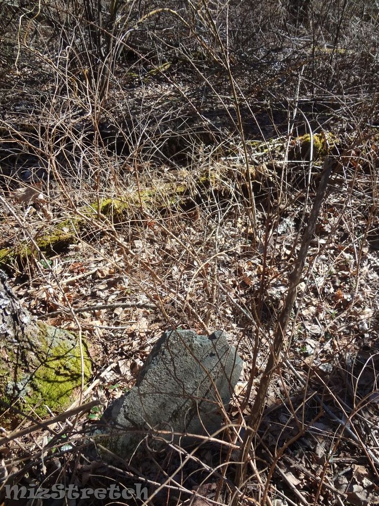 Jenkins Cemetery -- this was a fairly large family burial ground, but all marked with fieldstones, some very small and hard to see in the leaves and overgrowth.  This is a close-up of one of them.