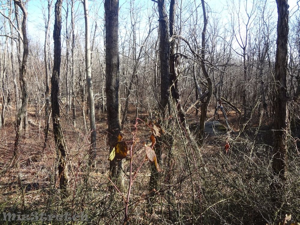 Buck Corbin homesite taken on 12/19/19