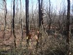 Buck Corbin homesite taken on 12/19/19