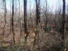 Buck Corbin homesite taken on 12/19/19