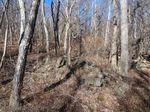 Remnants of a foundation to Buck Corbin's home.