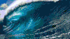 A pool is no ocean.  It has no energy; no life