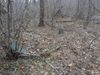 Mostly unmarked fieldstones