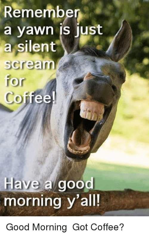 FB_IMG_1557927011531.jpg