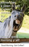 FB_IMG_1557927011531.jpg