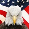 381920_2409711076346_1758161667_n[1].jpg