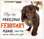goodbye-february_001.jpg