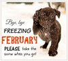 goodbye-february_001.jpg