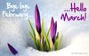 march_003.jpg